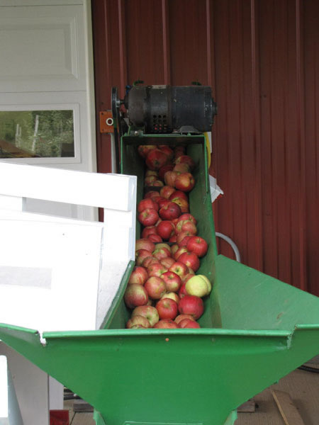 Pictures of the cider making process